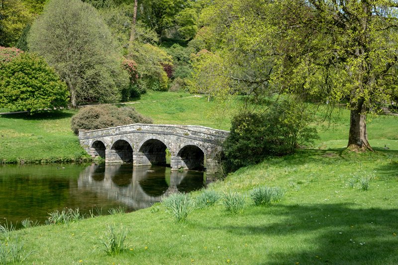 WhatsApp Image 2025-04-17 at 12.20.50_562181d3